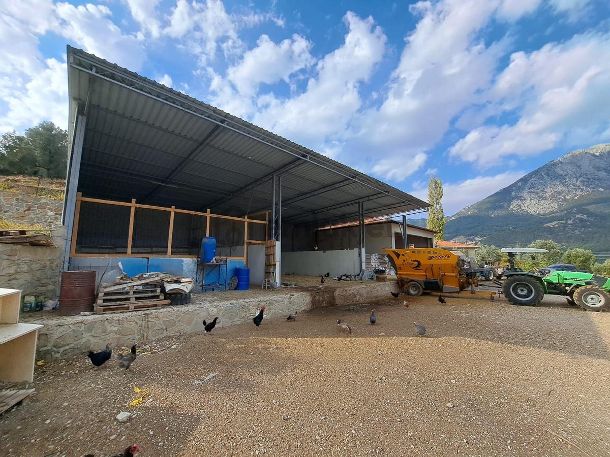 Ruhsatlı Ve Yapı Kullanım İzinli 1.500m² Hayvancılık Tesisi - 16