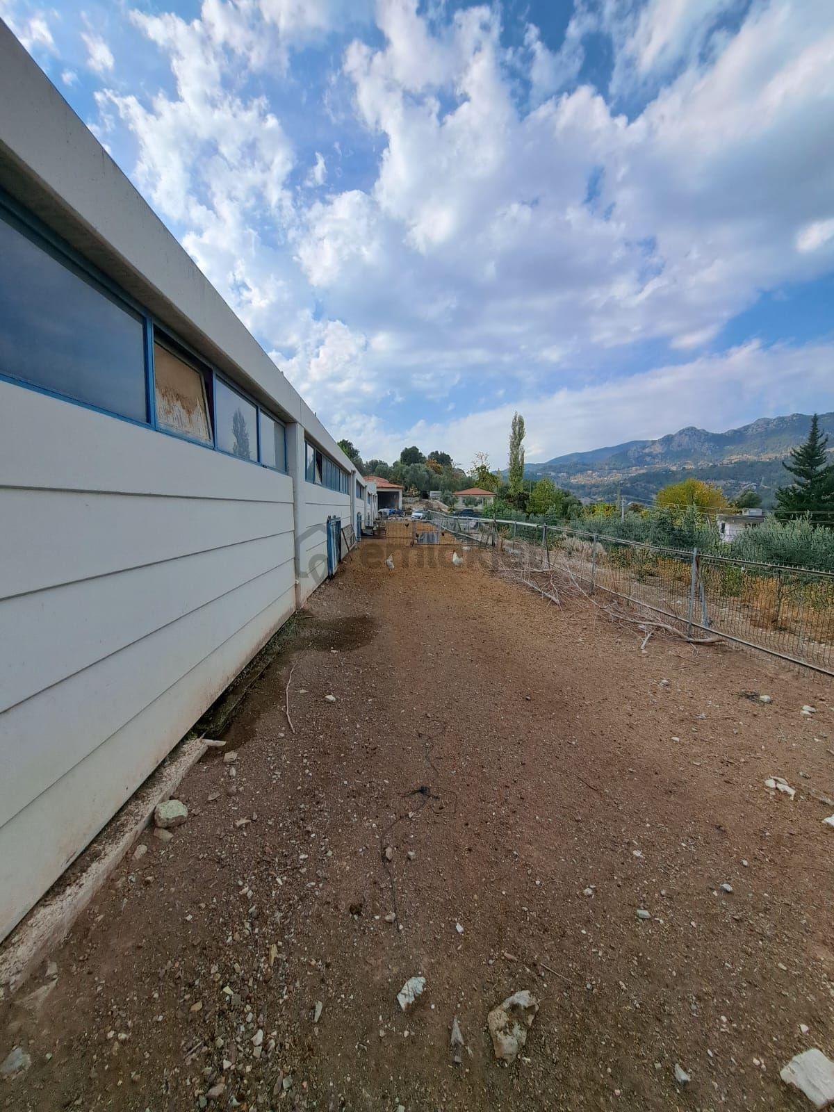 Ruhsatlı Ve Yapı Kullanım İzinli 1.500m² Hayvancılık Tesisi - 15