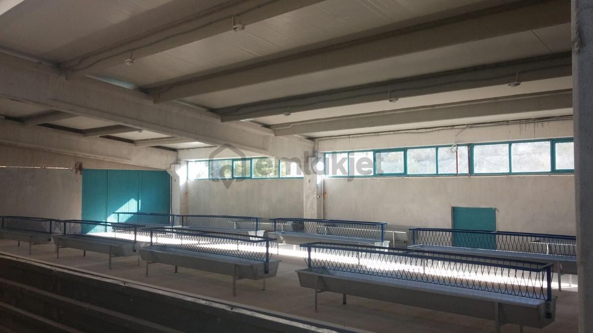 Ruhsatlı Ve Yapı Kullanım İzinli 1.500m² Hayvancılık Tesisi - 24
