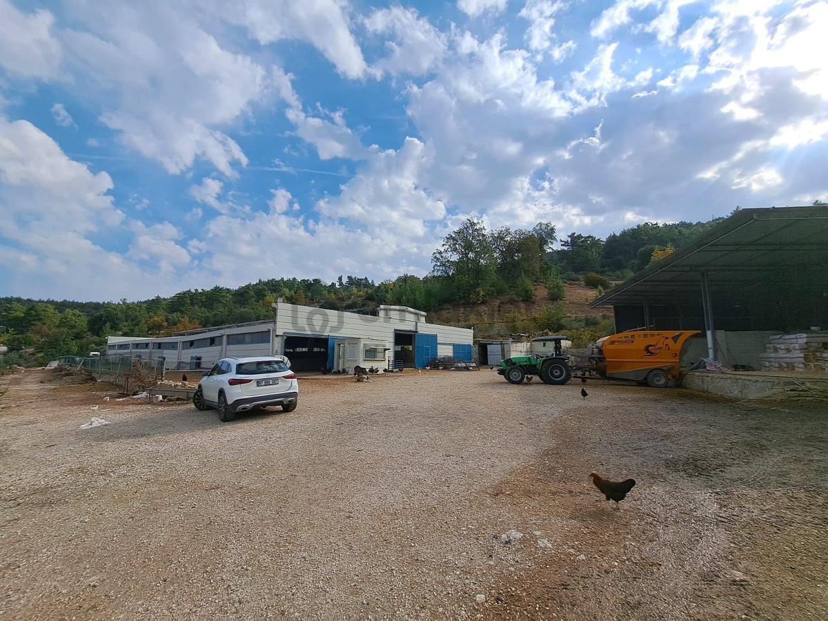 Ruhsatlı Ve Yapı Kullanım İzinli 1.500m² Hayvancılık Tesisi - 17