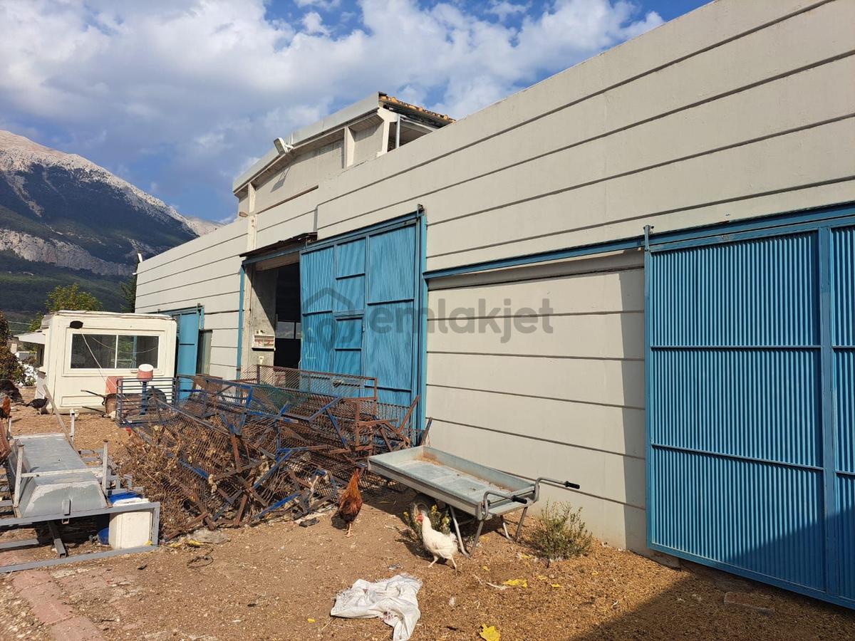 Ruhsatlı Ve Yapı Kullanım İzinli 1.500m² Hayvancılık Tesisi - 3