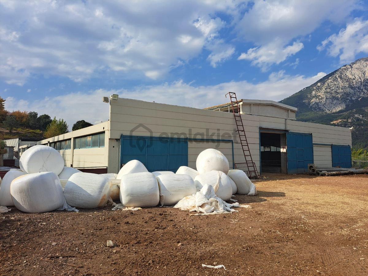 Ruhsatlı Ve Yapı Kullanım İzinli 1.500m² Hayvancılık Tesisi - 5