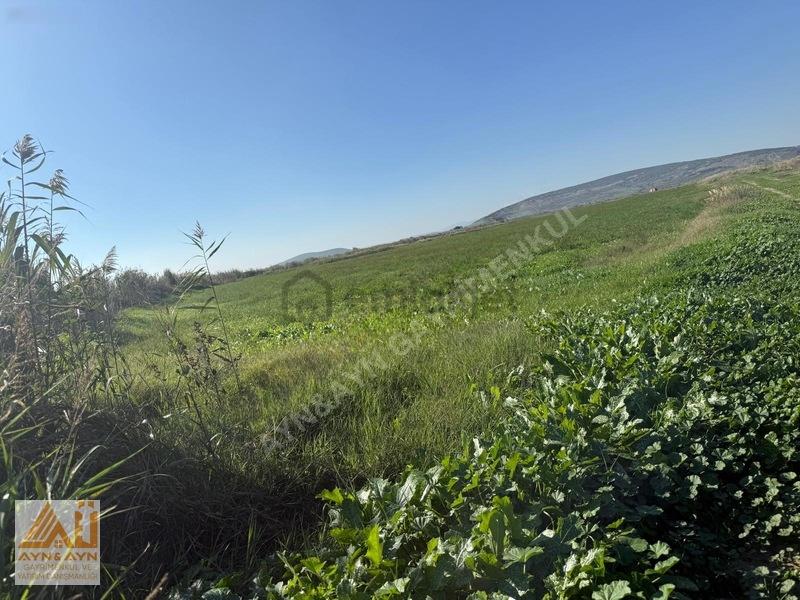 Menemen Seyrekte Cadde Üzerinde Satılık Tarla - 3