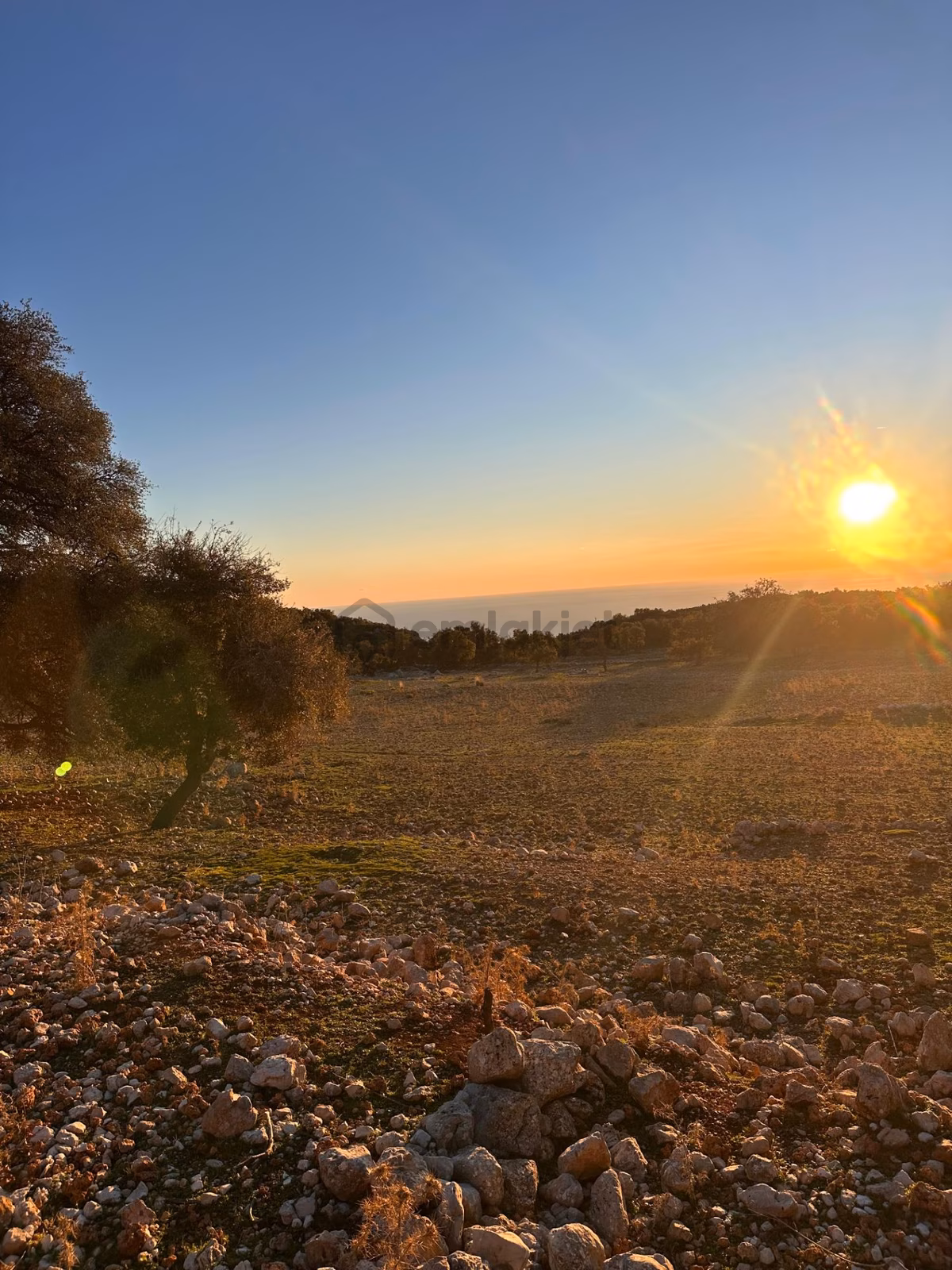 Sahibinden Kalkan Kaş Tarla - 3
