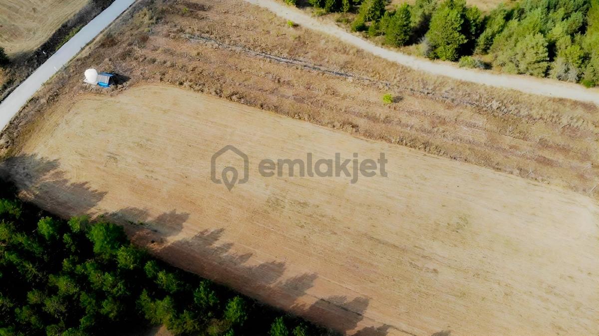 Değişim Emlak'tan Daday Da Satılık Tarla - 11