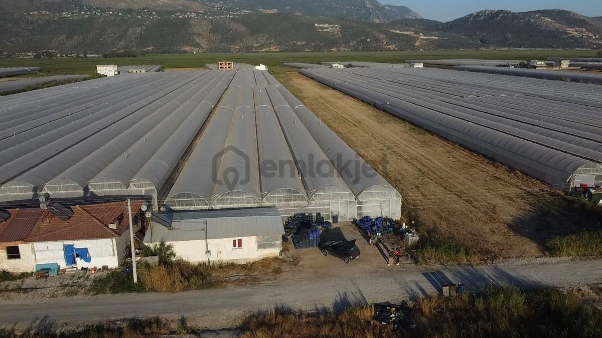 Antalya Kaş Kınık Göçebeler Göl Mevkii 2. Parselde Satılık Sera - 13