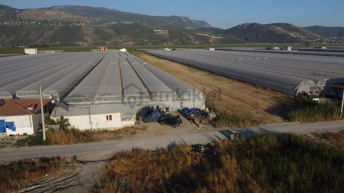 Antalya Kaş Kınık Göçebeler Göl Mevkii 2. Parselde Satılık Sera - 9