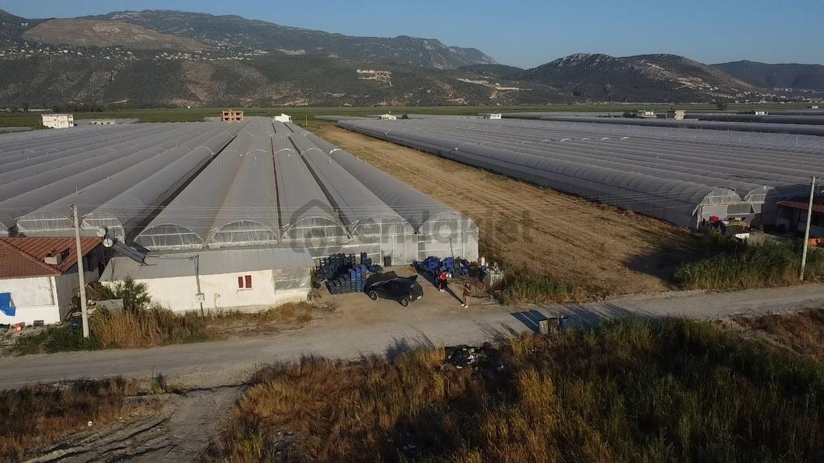 Antalya Kaş Kınık Göçebeler Göl Mevkii 2. Parselde Satılık Sera - 16
