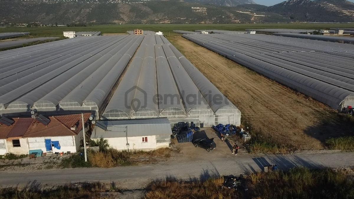 Antalya Kaş Kınık Göçebeler Göl Mevkii 2. Parselde Satılık Sera - 14