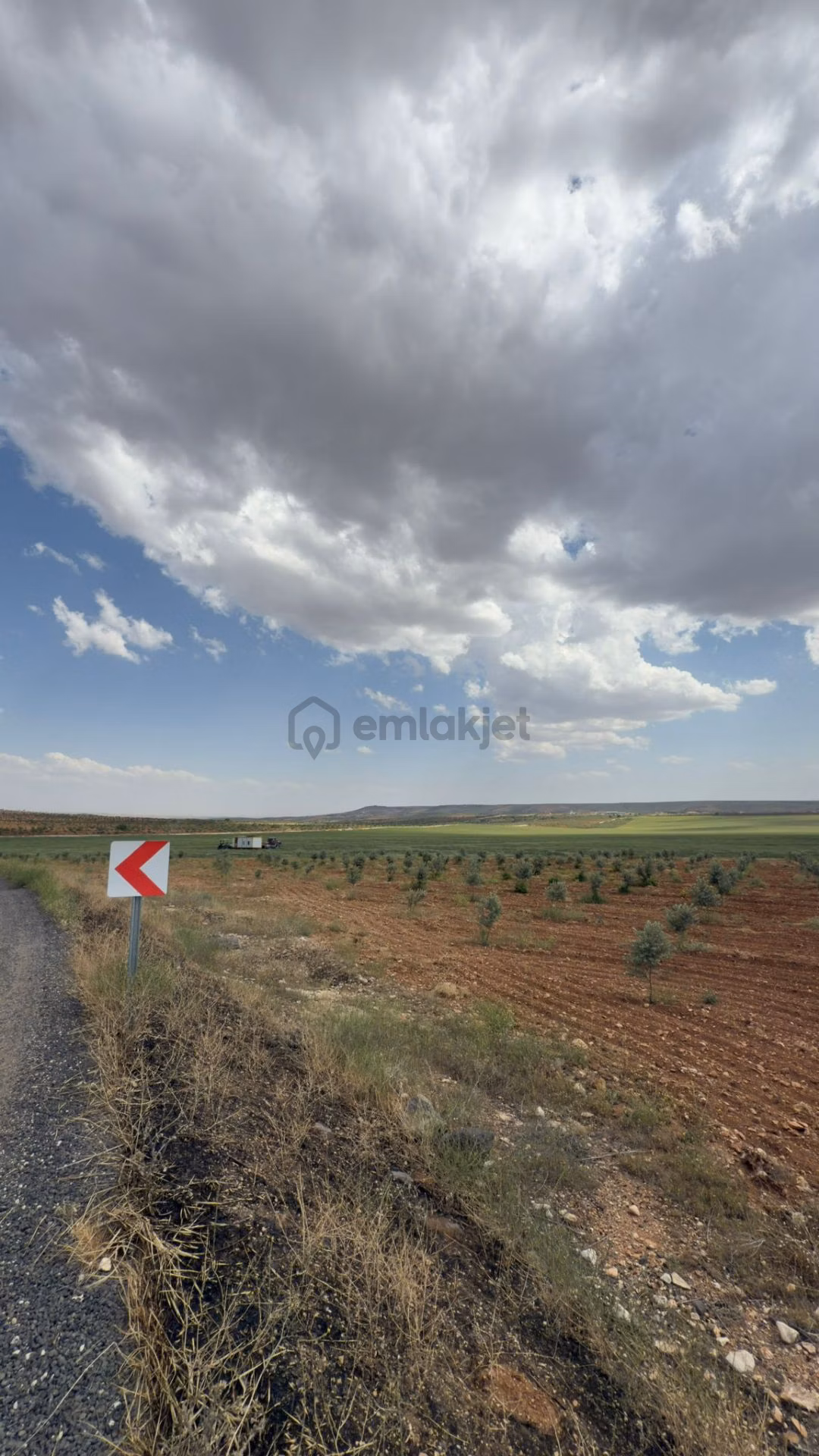 Şanlıurfa Haliliyeyerolukta Satılık 5 Dönüm - 5
