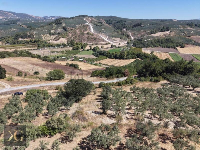 Pruva'dan Çınarlıda Göl Manzaralı Tek Tapu Satılık Arsa - 13