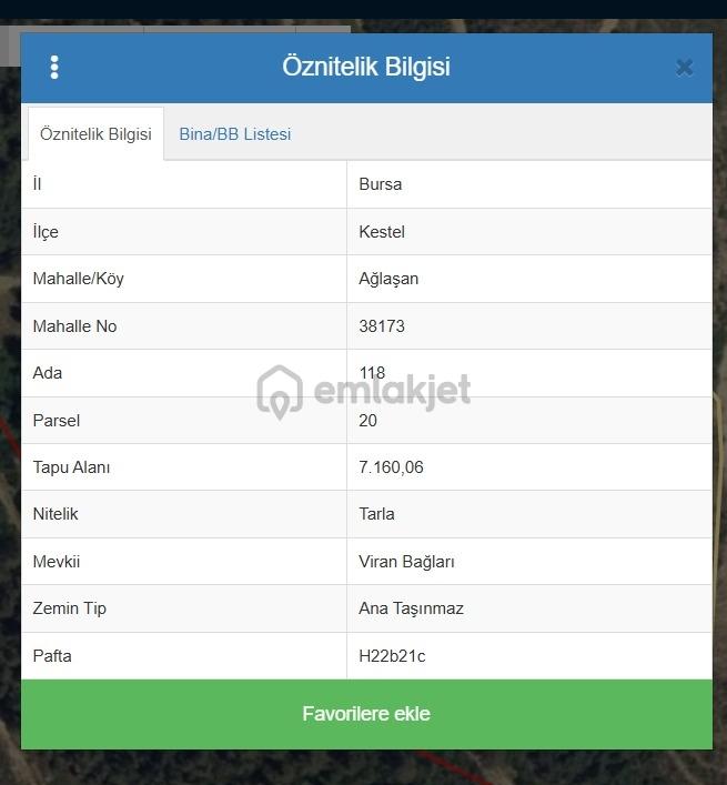 Kestel Ağlaşan Satılık Tarla - 9