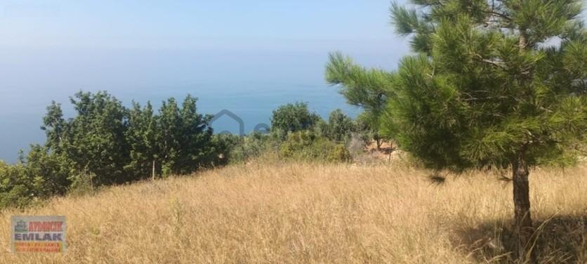 Aydıncık Emlaktan Satılık Tarla 851m2 - 3