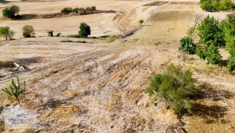 Keşan Maltepe Köyü 510 M2 İmarlı Arsa - 24