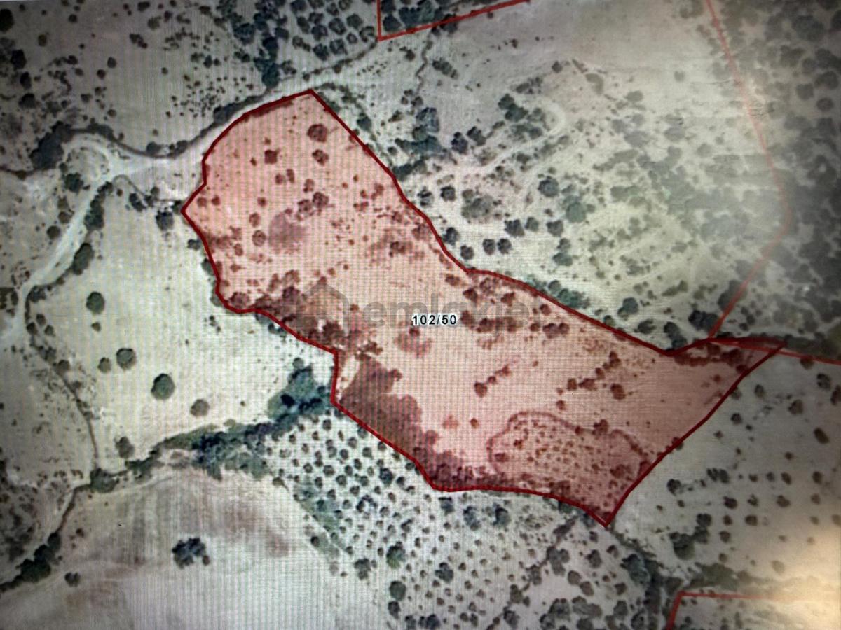 Bergamada Yatırımlık 19.484 M² Satılık Tarla - 3