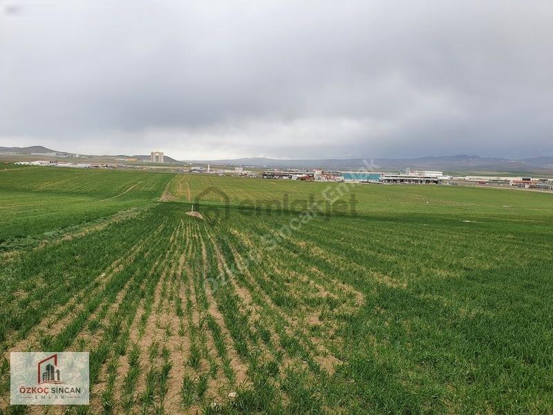 Sincan Temelli Tek Tapu İmarlı 620m2 Köşe Başı - 28