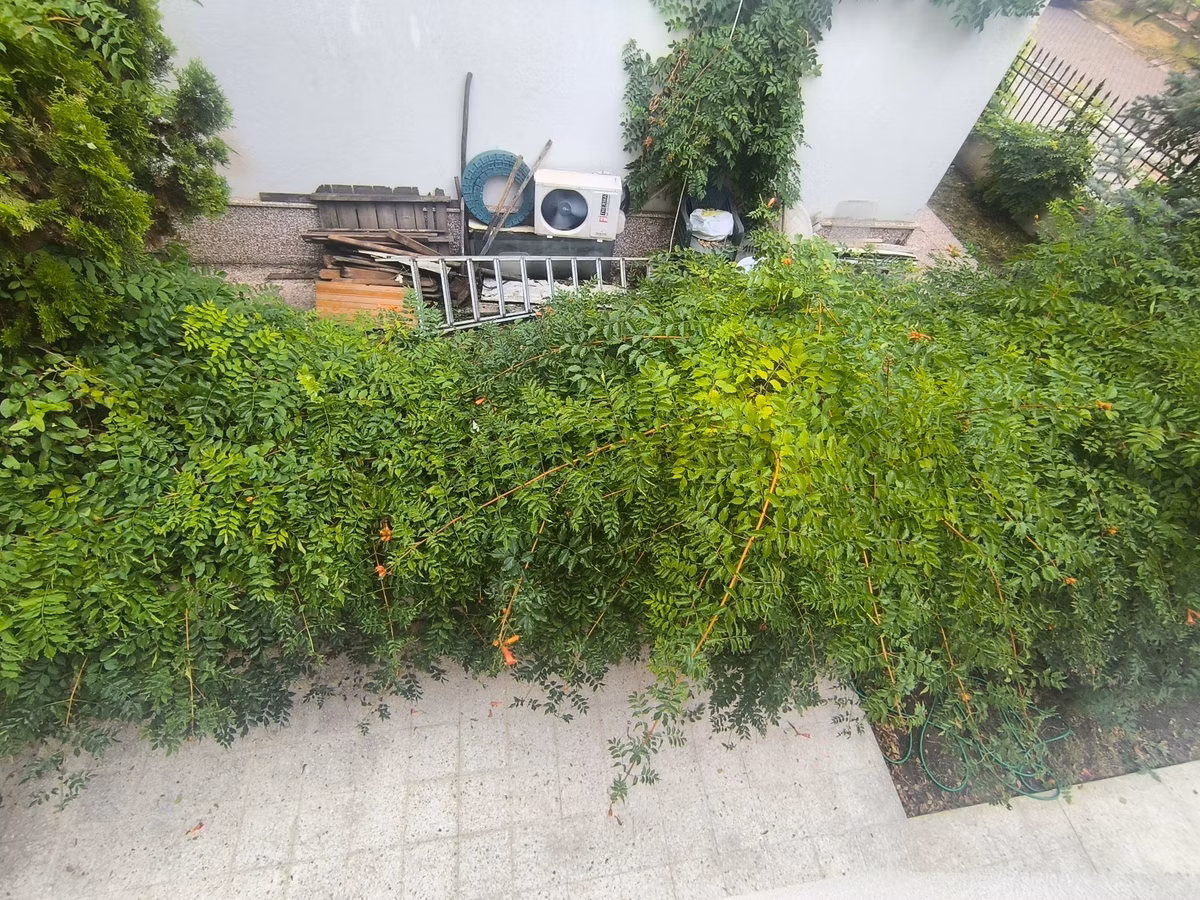 Barış Sitesinde A Tipi Keyifli Köşe Villa..! - 40