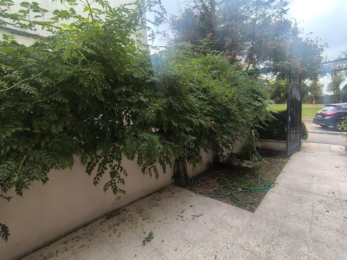Barış Sitesinde A Tipi Keyifli Köşe Villa..! - 39