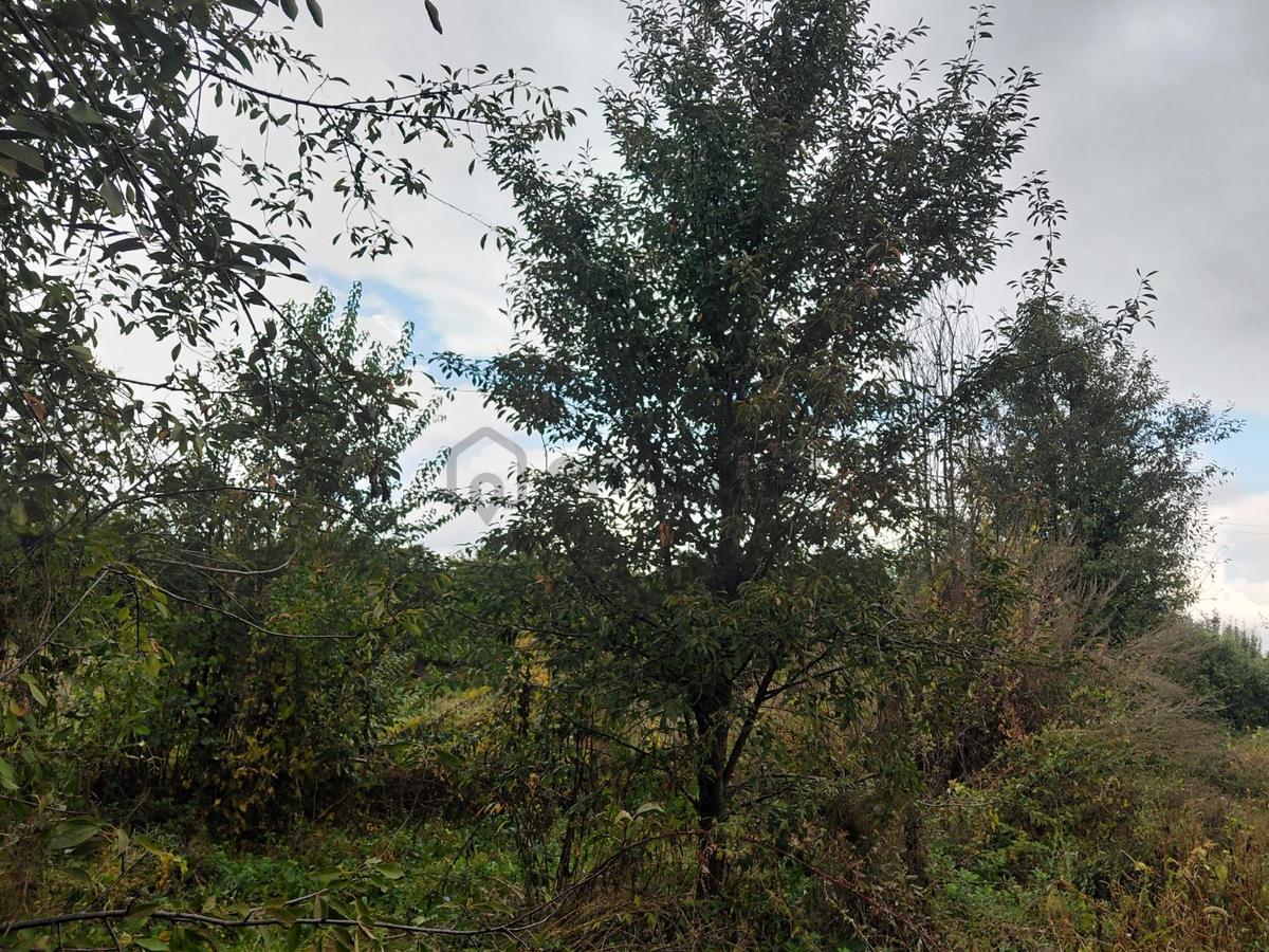 Akşehir Atakent Mahallesi'nde Satılık 2500 M² Tarla - 2