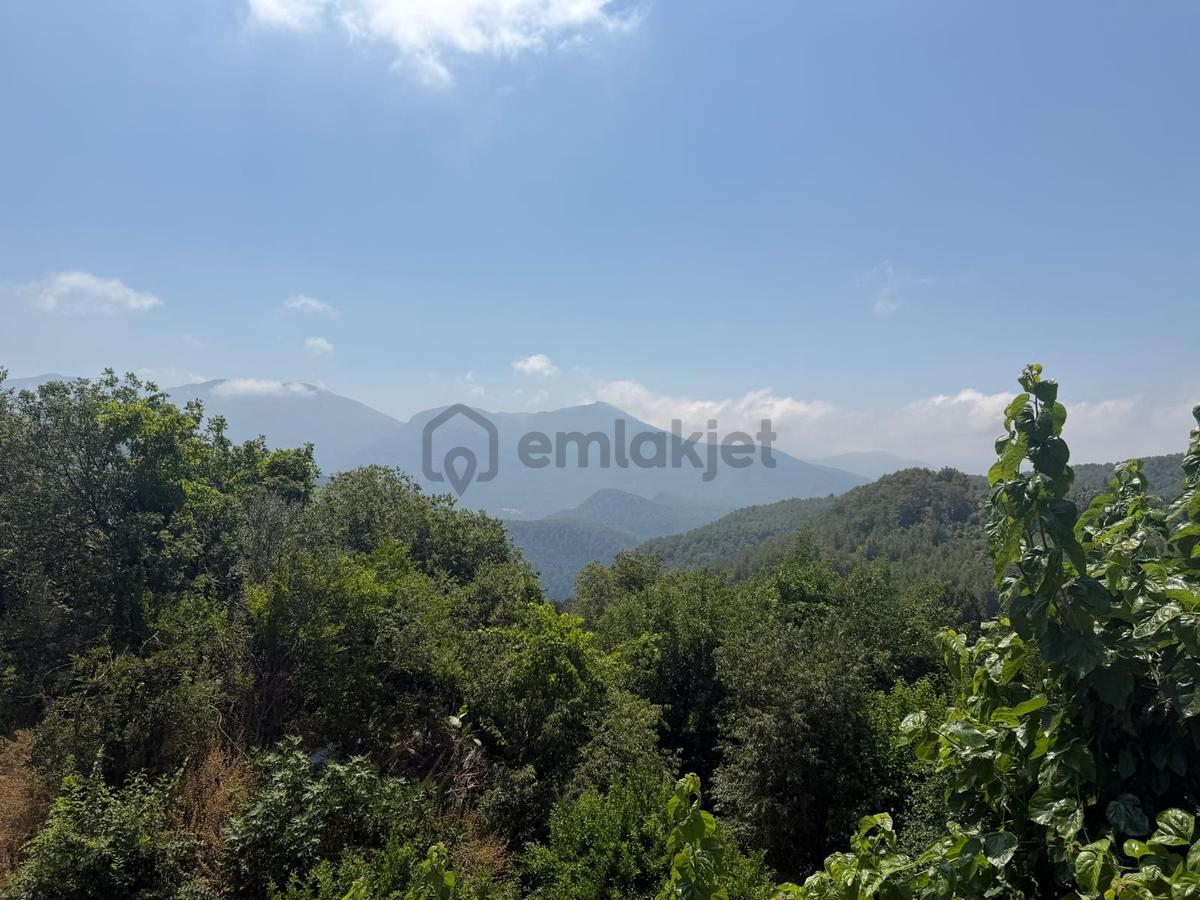 Alanya Asmaca Mahallesi Satılık Tarla - 4