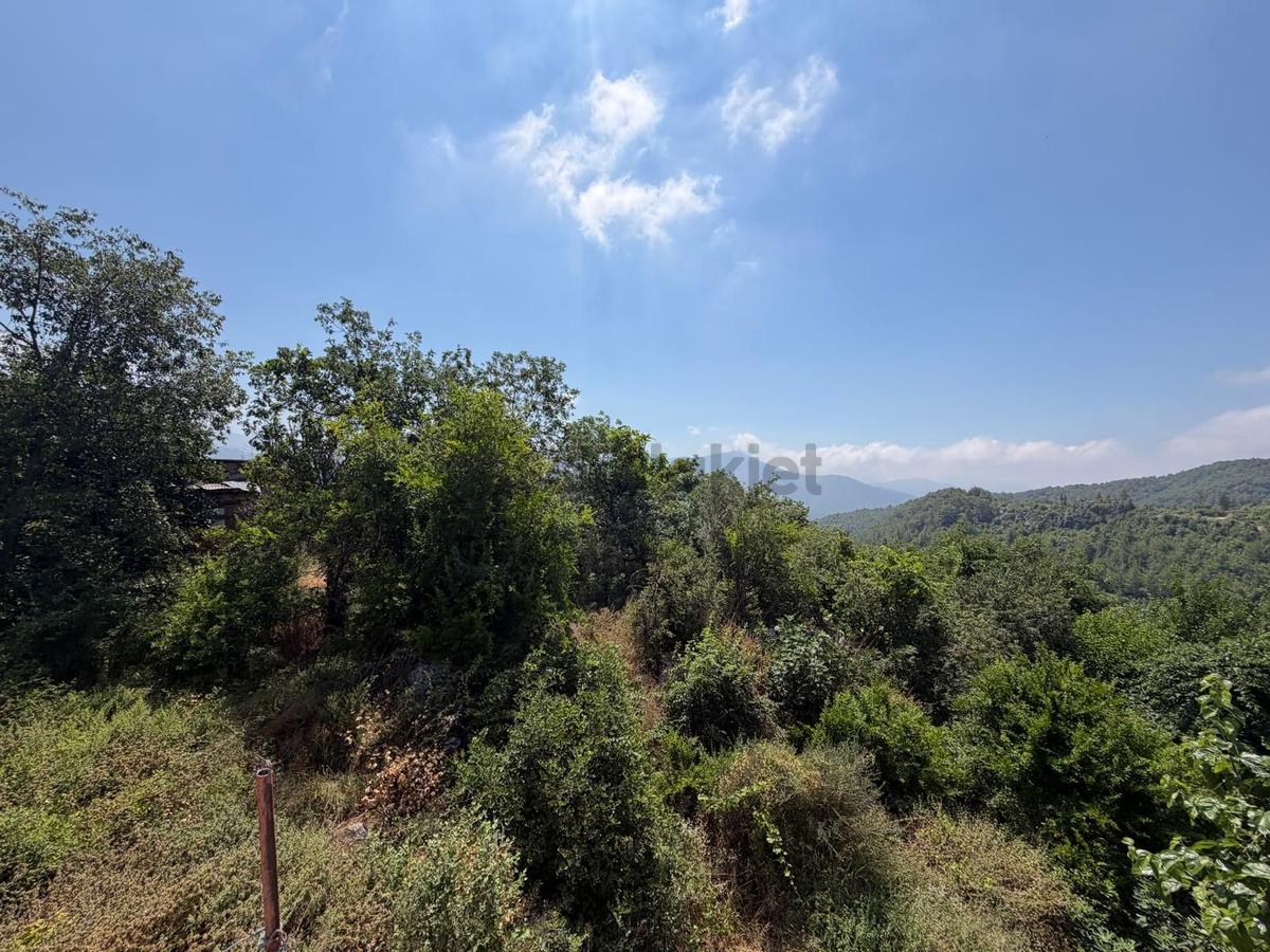 Alanya Asmaca Mahallesi Satılık Tarla - 2