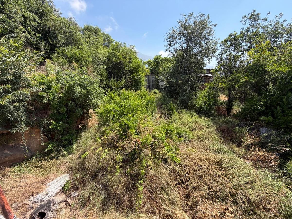 Alanya Asmaca Mahallesi Satılık Tarla - 6
