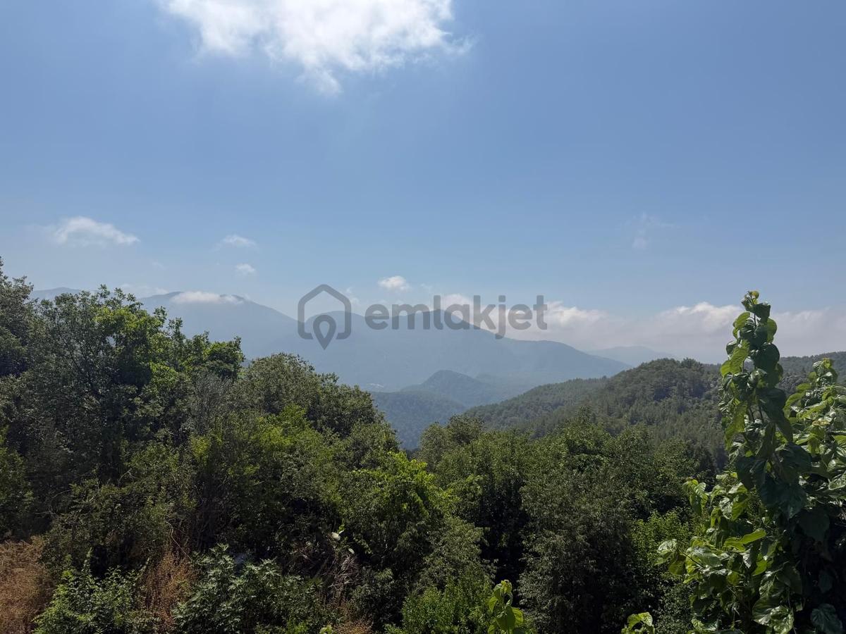 Alanya Asmaca Mahallesi Satılık Tarla - 7