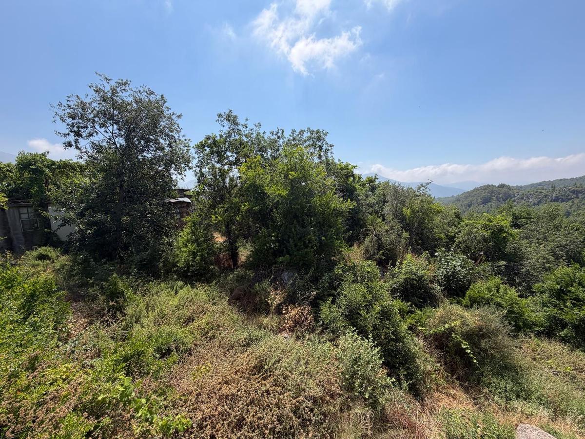 Alanya Asmaca Mahallesi Satılık Tarla - 5