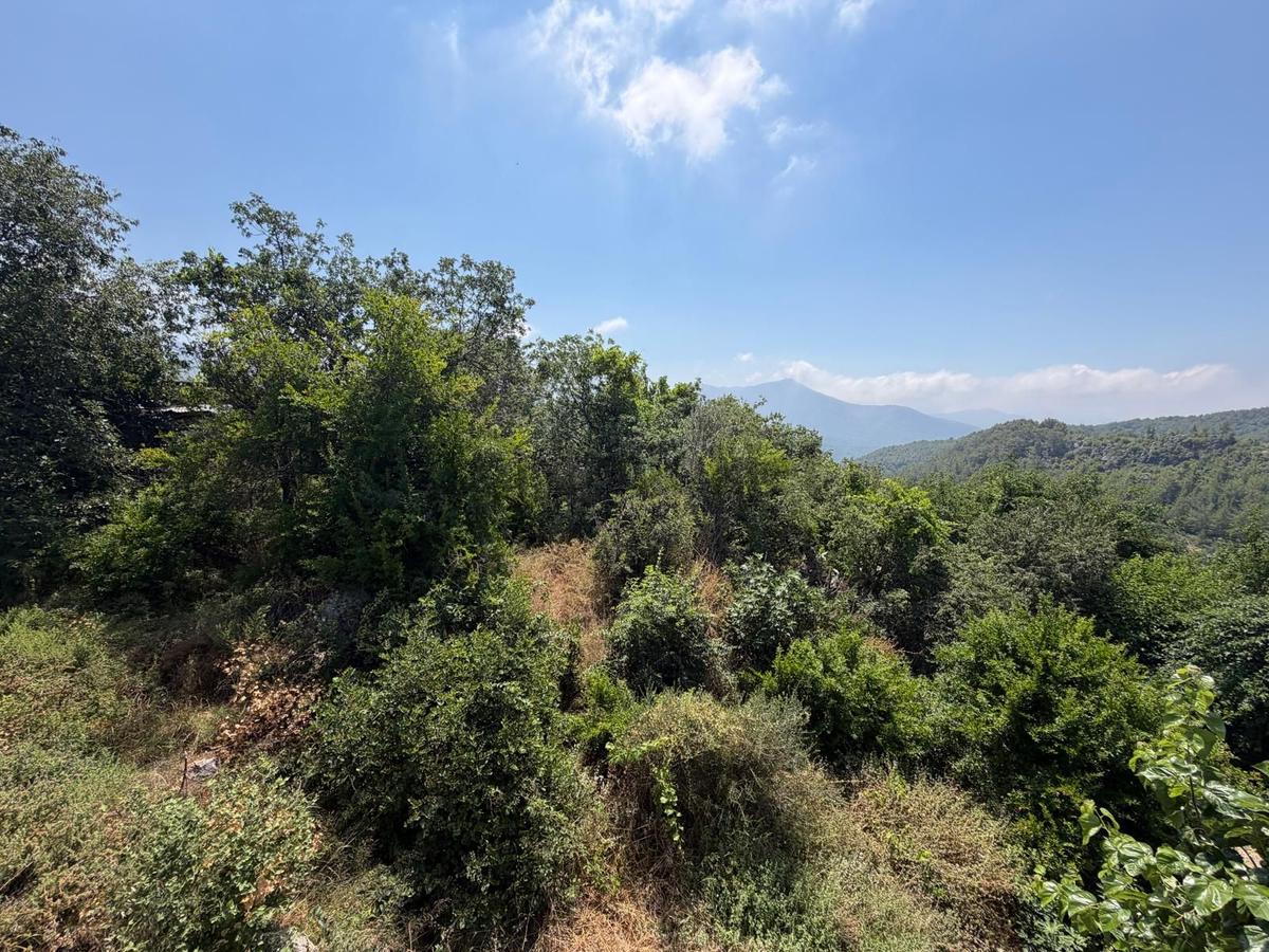 Alanya Asmaca Mahallesi Satılık Tarla - 3