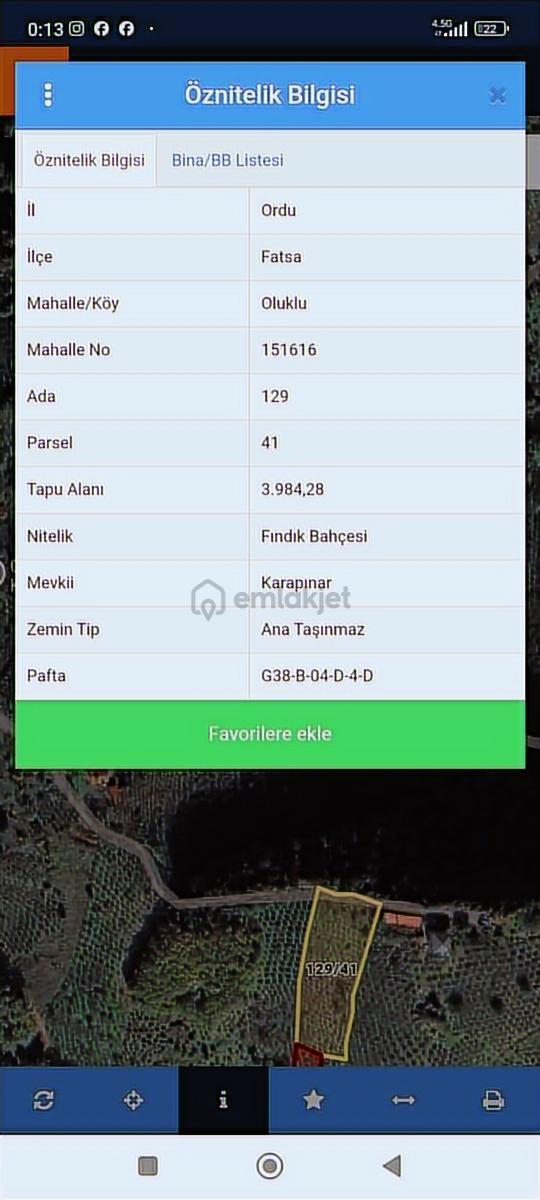Fatsa Oluklu'da 7 Dönüm Satılık Fındık Bahçesi - 8