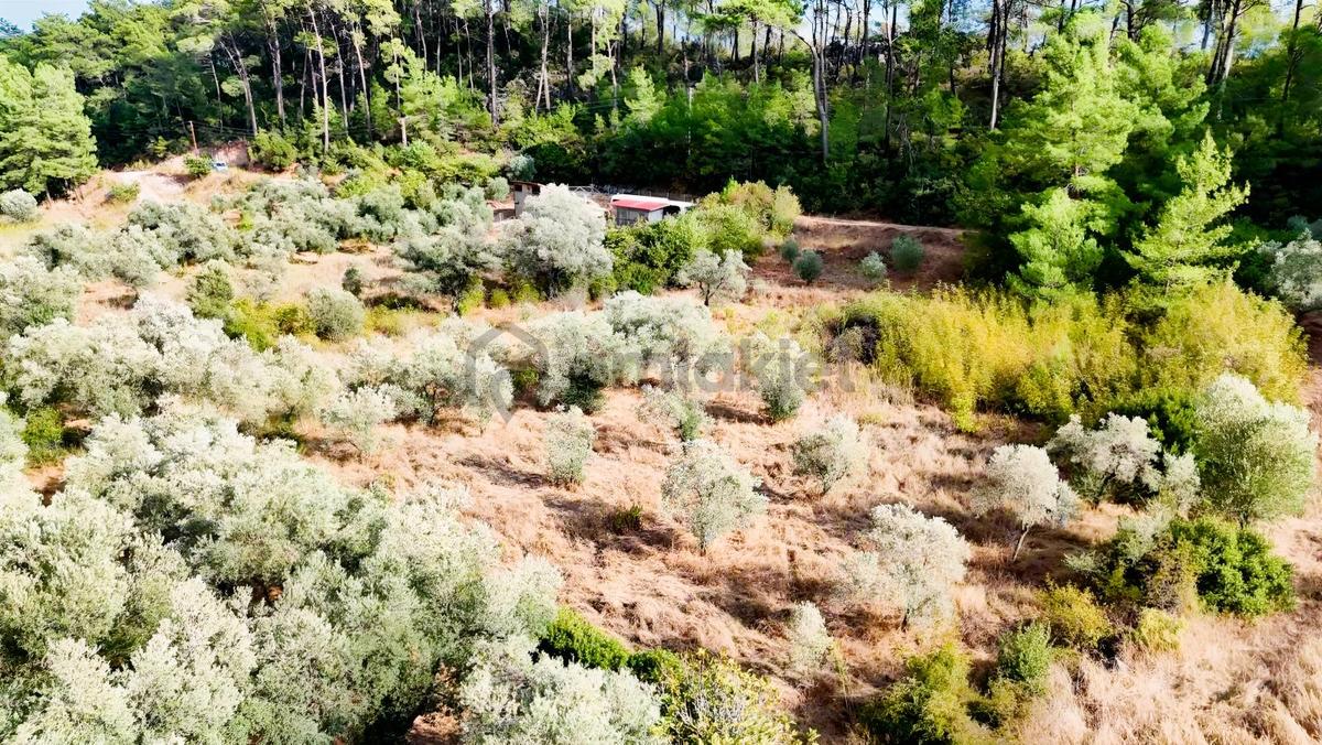 Akyakaya 5 Dk | Denize Yürüme Mesafesinde 894 M² Arsa - 14