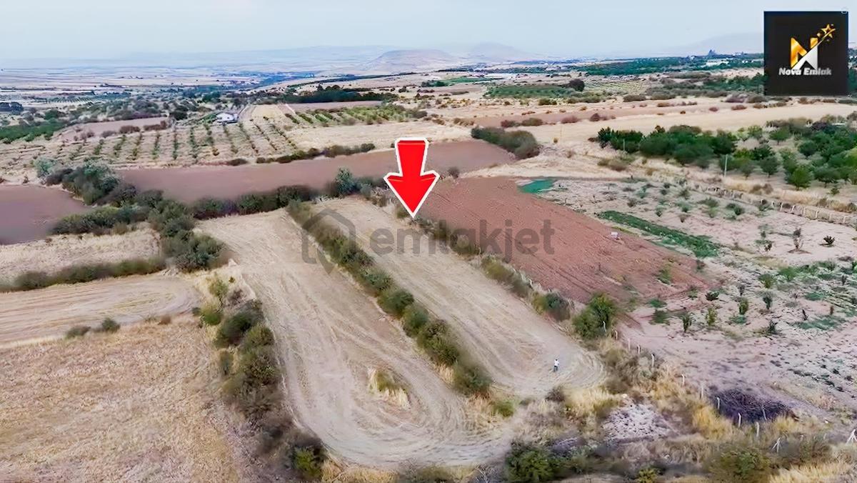 Baskil Yolunda Satılık Bahçe Yapımına Uygun Tarla - 3