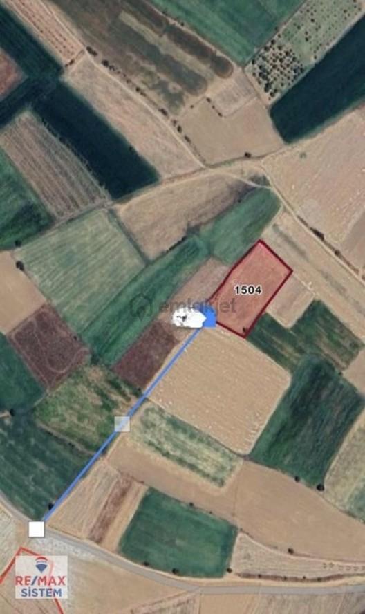 *afyonkarahisar Dinar Dikici 5.150 M² Satılık Tarla* - 5