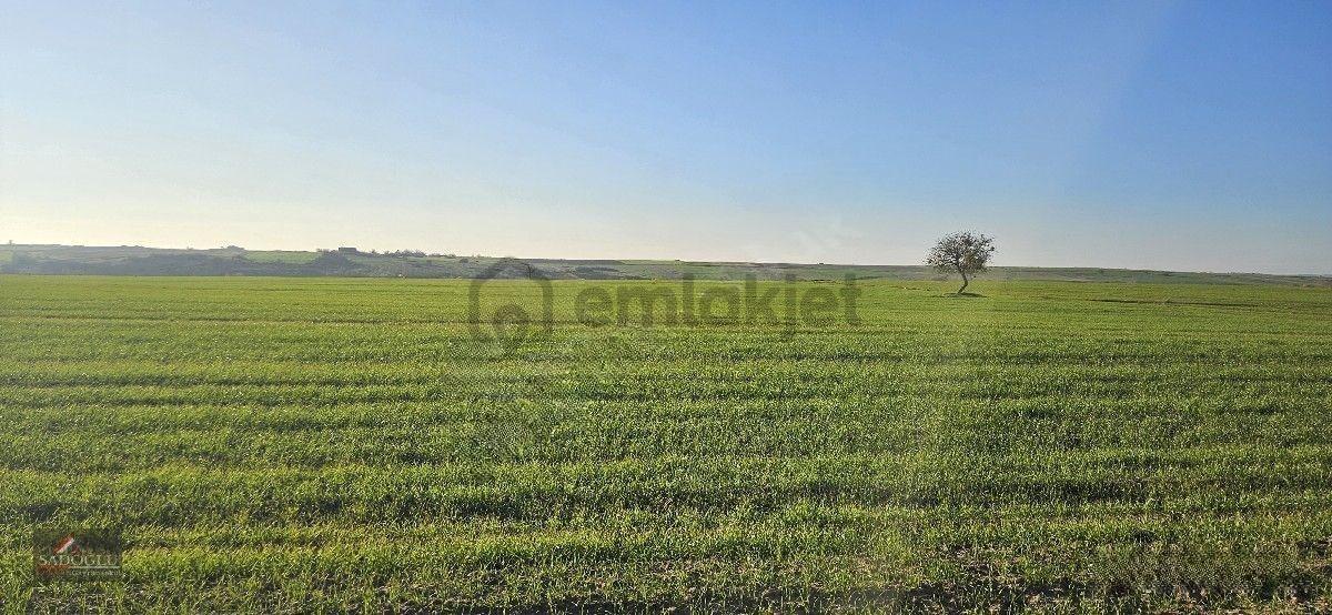 Tatarlar 8.860 M2 Müstakil Tapulu - 5