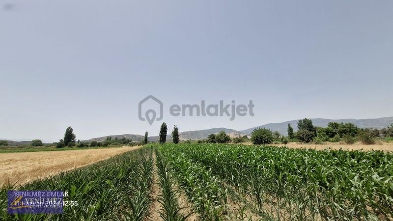 Ödemiş Kayaköy Evi Olan Tarla - 30