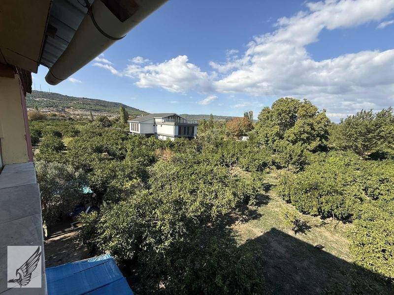 Seferihisar Ulamış'ta 2.332m² İçerisinde Ruhsatlı Müstakil Ev - 5