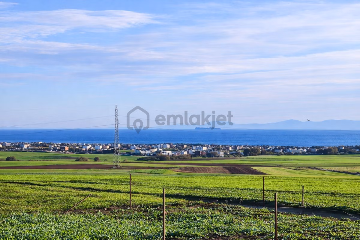 Çeşmeli De Muhteşem Konumda Satılık Kelepir Arsalar - 7