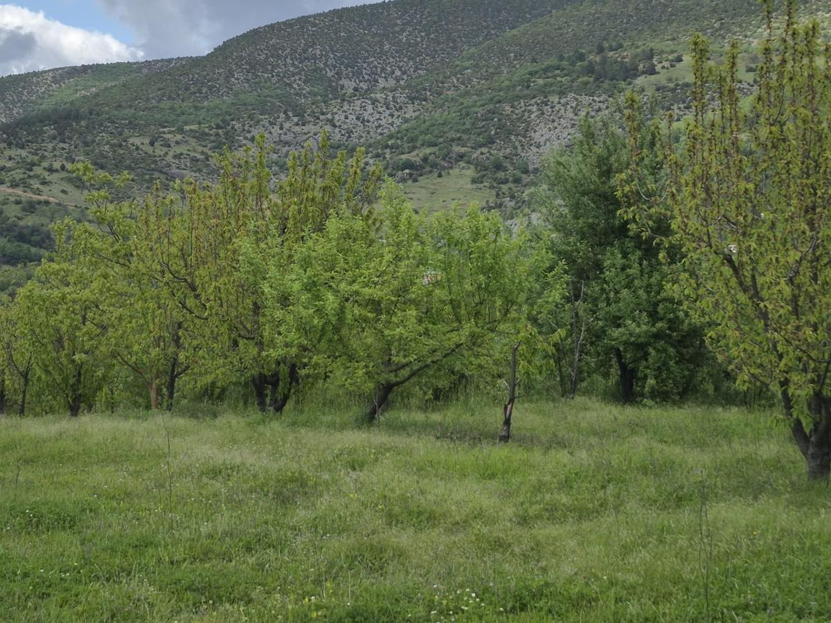 Sahibinden Satılık 729 M² Hobi Bahçesi - 3