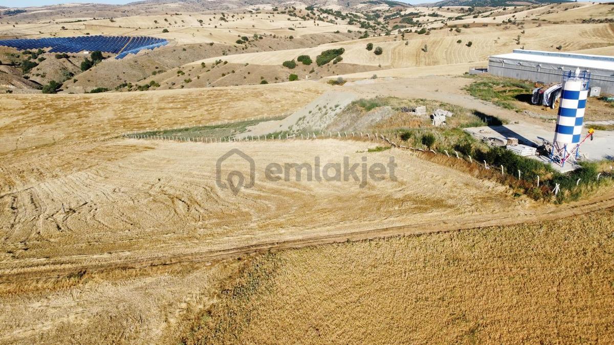 *çardakbagın Da 60 Dönüm (kök) Tek Tapu*- - 10
