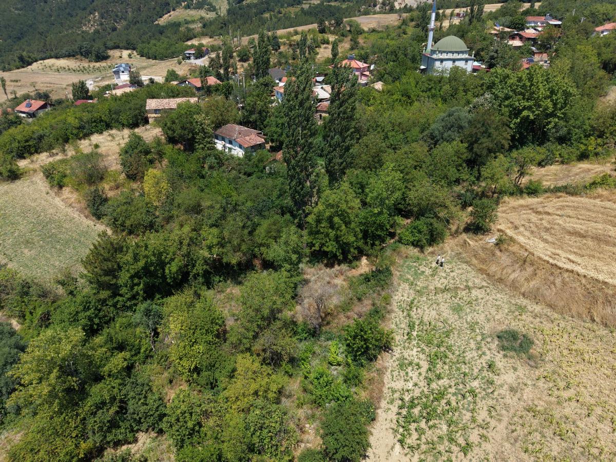 Geyve Poydularda Çok Uygun Fiyata Satılık İmarlı Arsa - 7