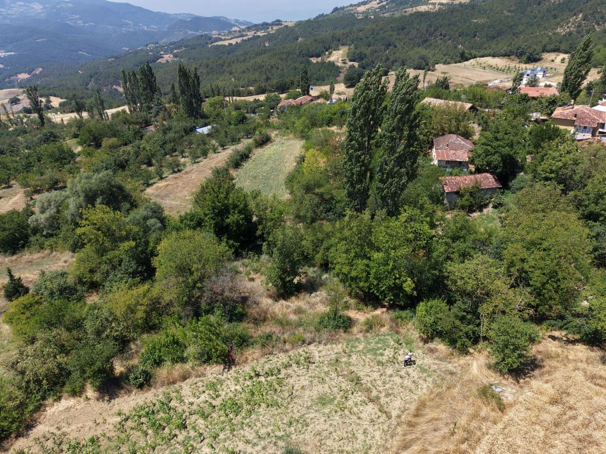 Geyve Poydularda Çok Uygun Fiyata Satılık İmarlı Arsa - 4