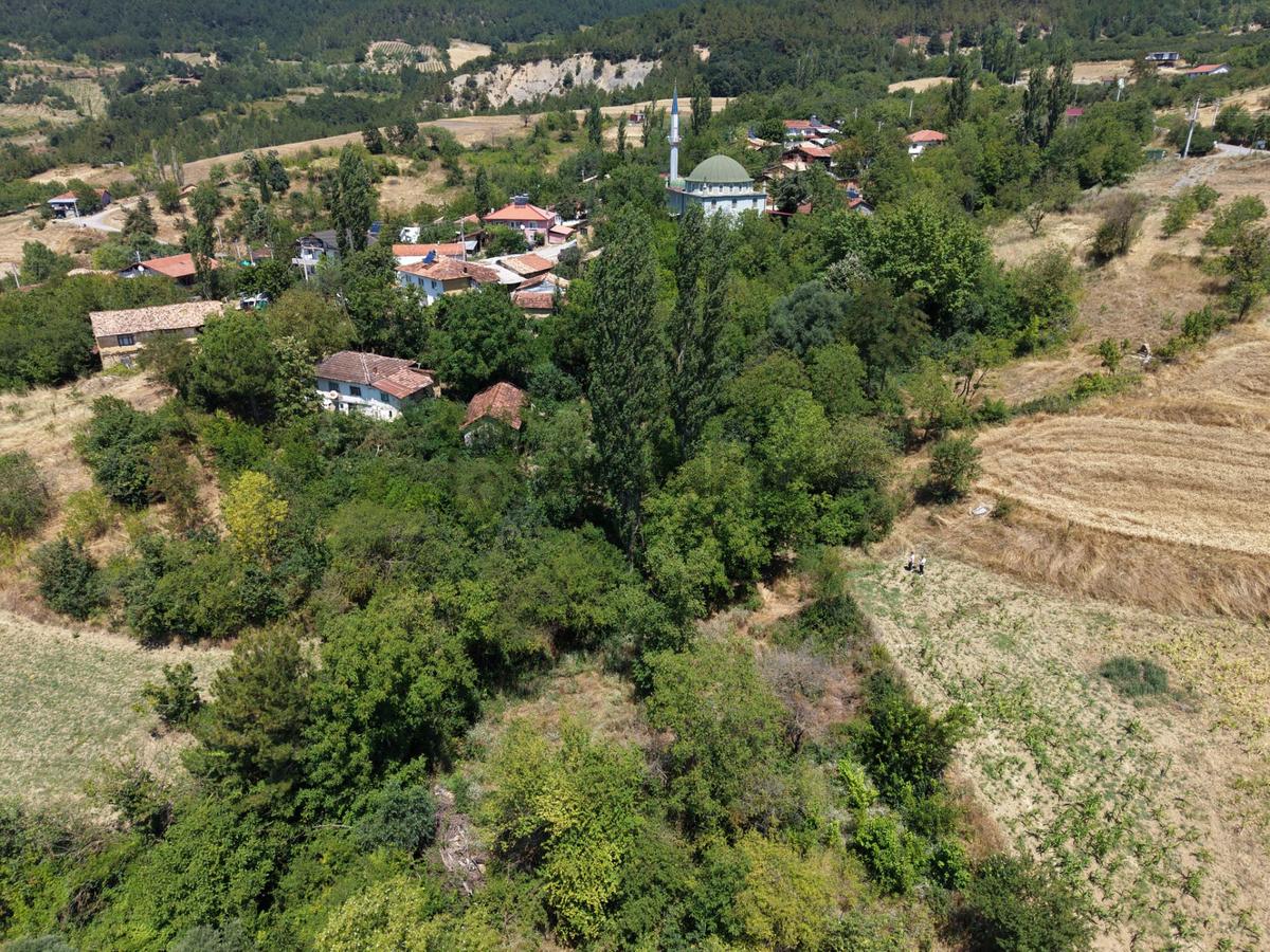 Geyve Poydularda Çok Uygun Fiyata Satılık İmarlı Arsa - 9