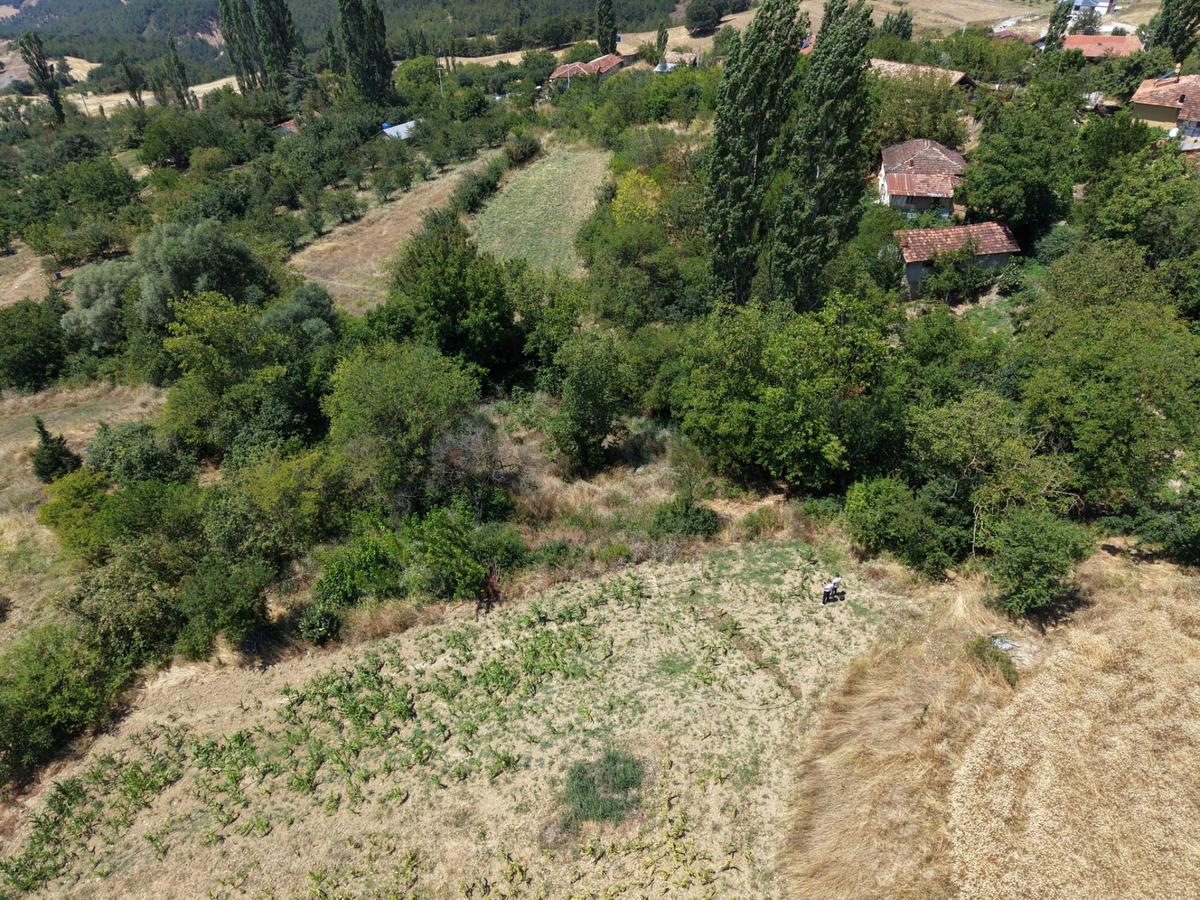 Geyve Poydularda Çok Uygun Fiyata Satılık İmarlı Arsa - 3