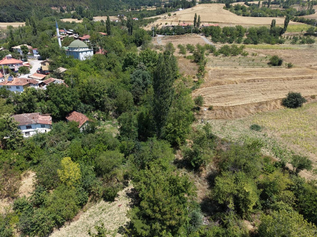 Geyve Poydularda Çok Uygun Fiyata Satılık İmarlı Arsa - 13