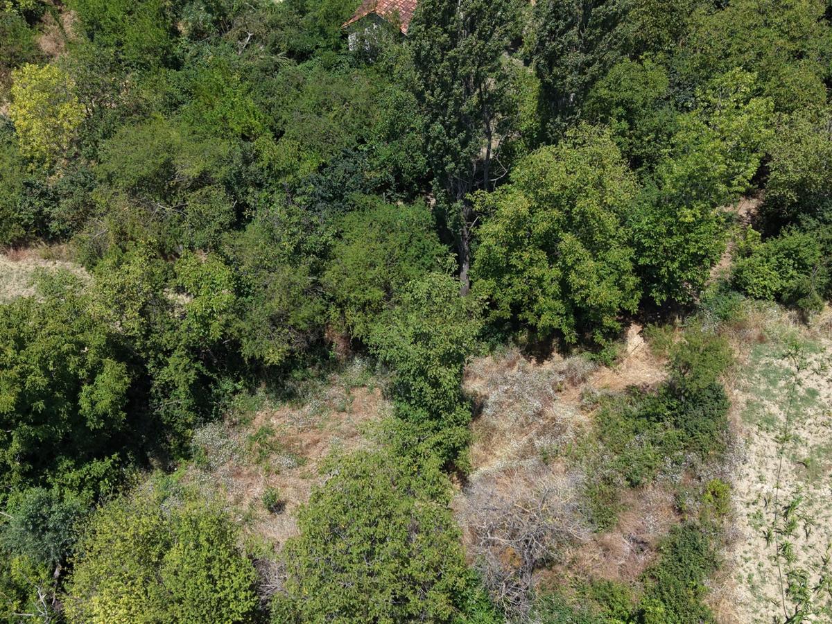 Geyve Poydularda Çok Uygun Fiyata Satılık İmarlı Arsa - 16