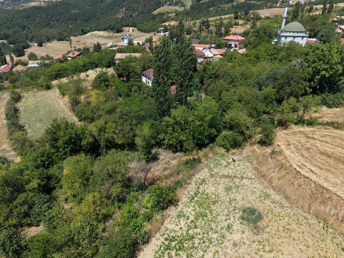 Geyve Poydularda Çok Uygun Fiyata Satılık İmarlı Arsa - 6