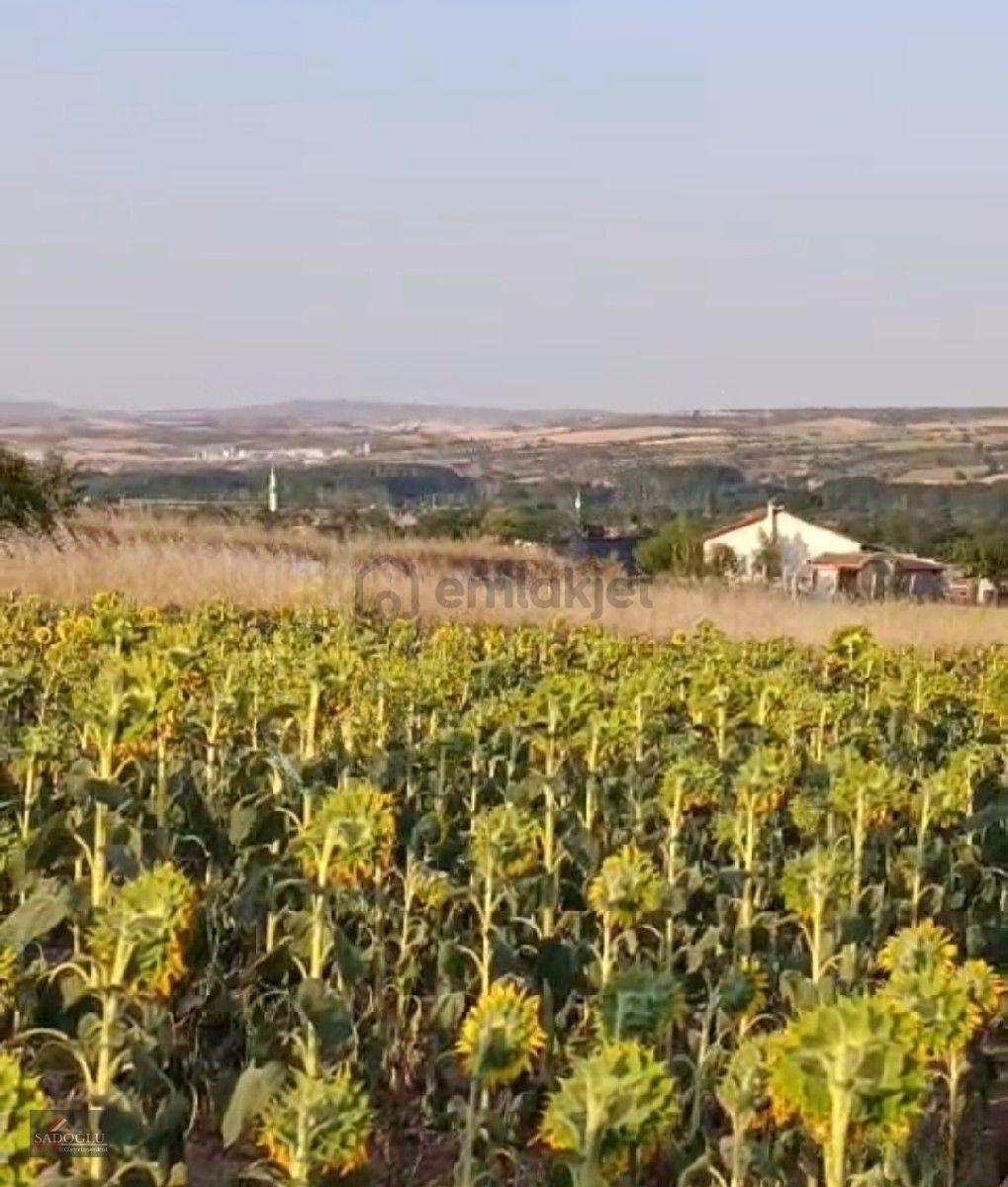 Koyunbaba'da 1.200 M2 Satılık - 12