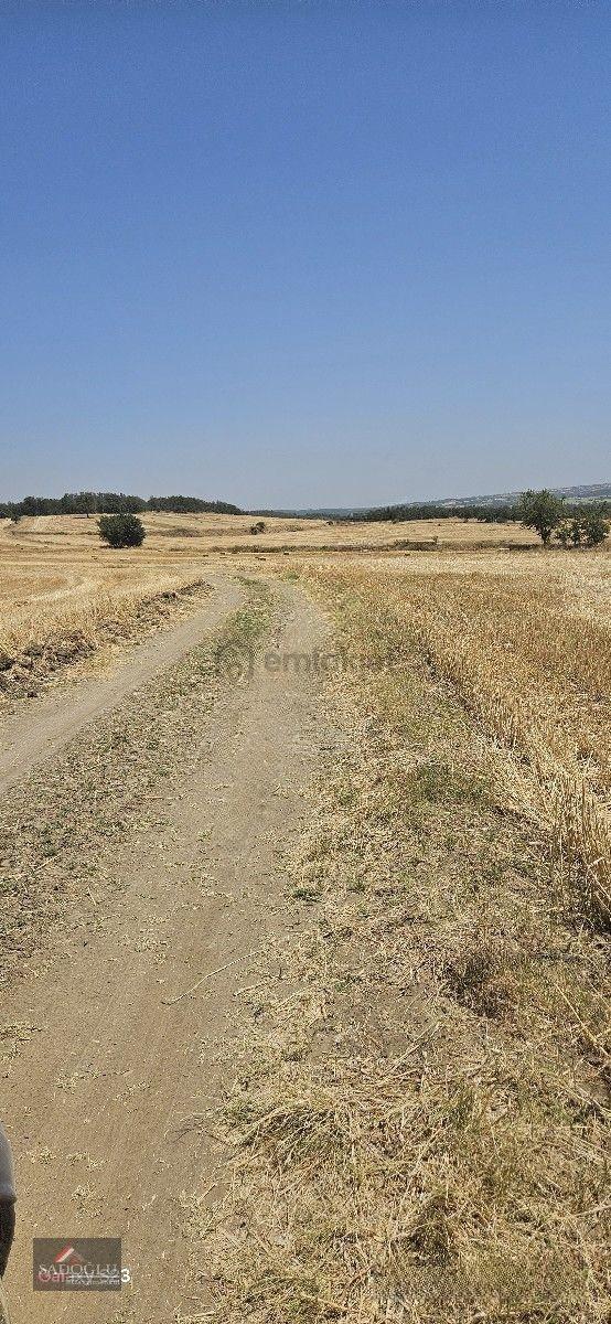 Erikli'de 10.500 M2 Satılık - 31