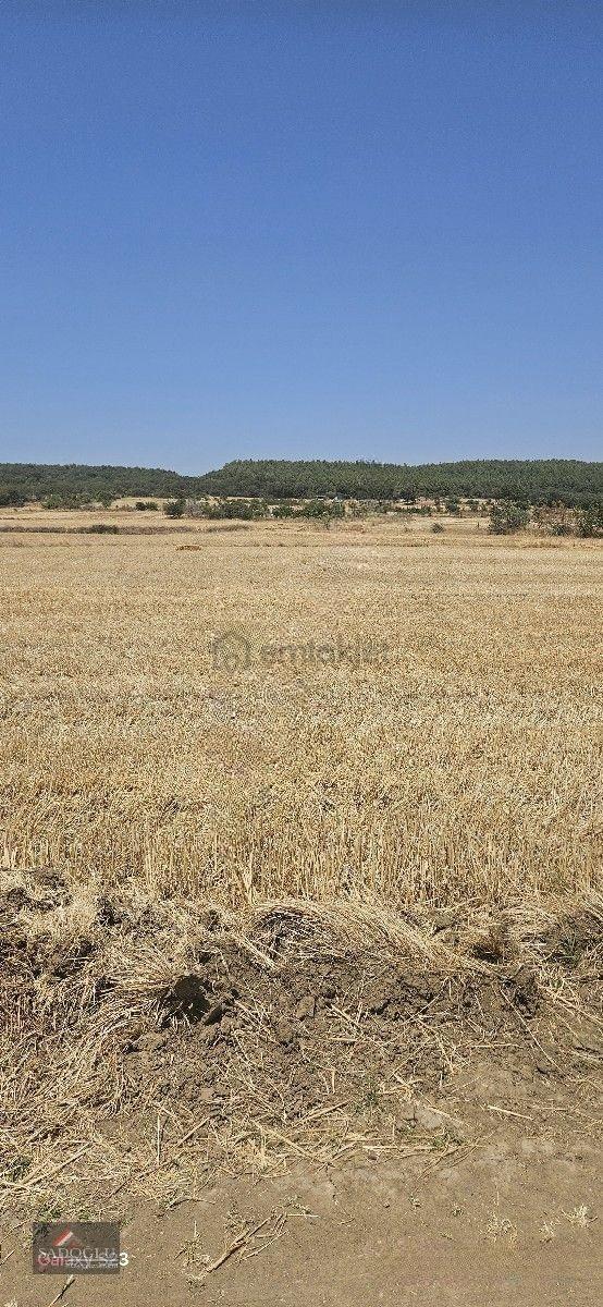 Erikli'de 10.500 M2 Satılık - 20