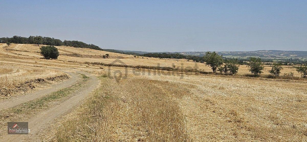 Erikli'de 10.500 M2 Satılık - 8